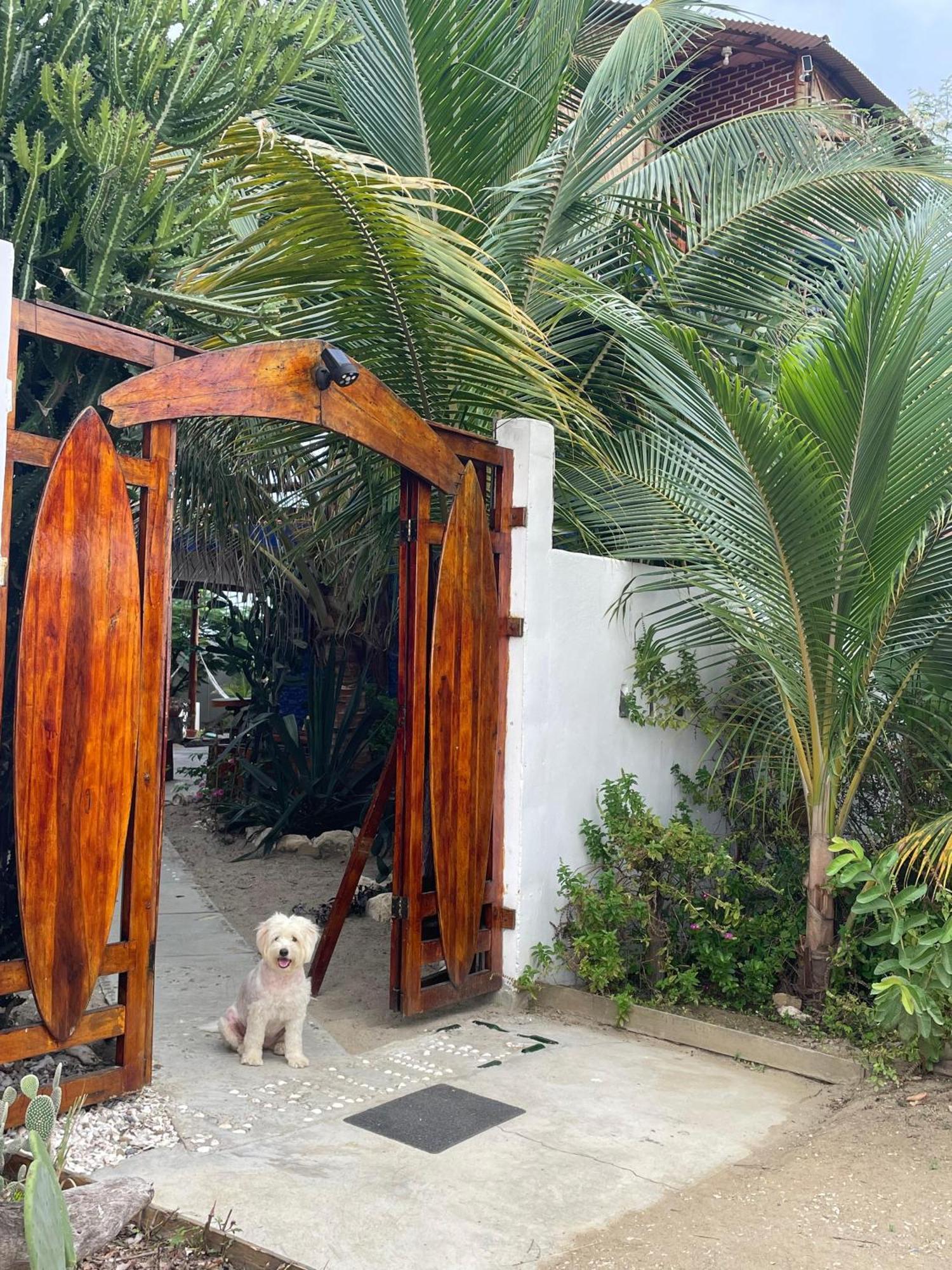 Un Dia Boutique Resort プラヤス エクステリア 写真